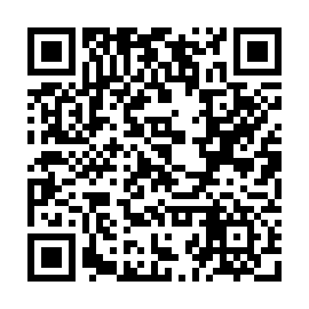 QR code for ZJP377