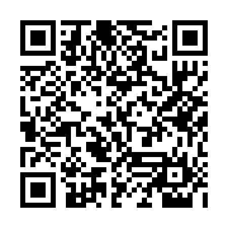 QR code for ZLH216
