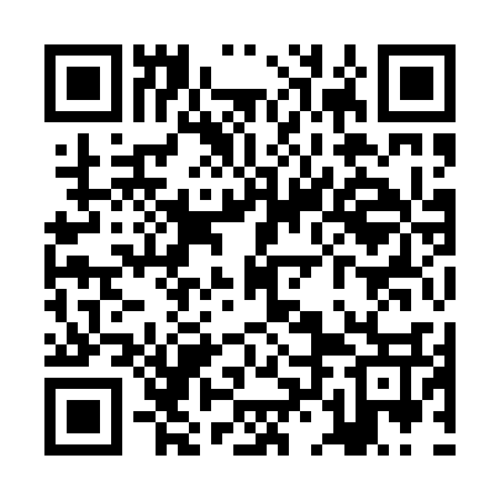 QR code for ZLI037