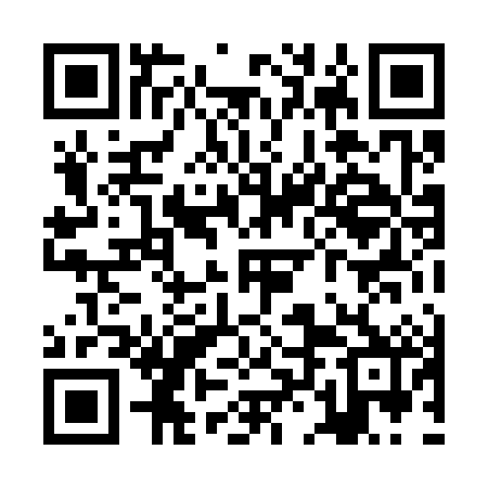 QR code for ZLL382