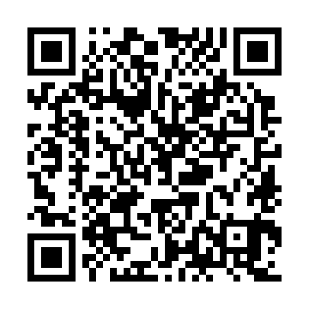 QR code for ZLO381