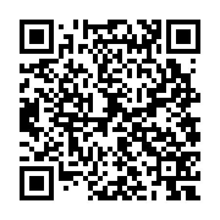 QR code for ZLV376