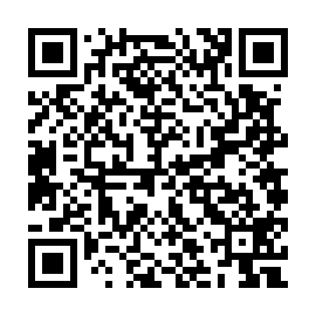 QR code for ZLV519