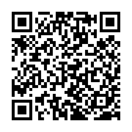 QR code for ZMG481