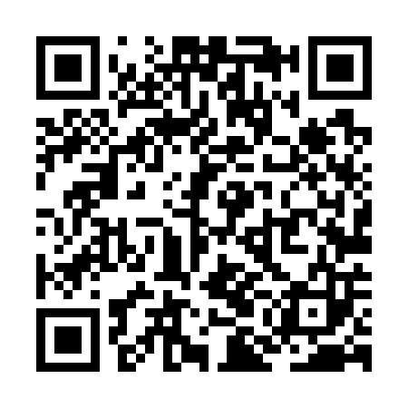 QR code for ZML703