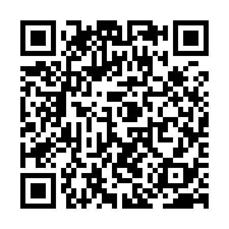 QR code for ZMS938