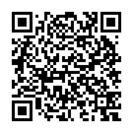 QR code for ZMZ239