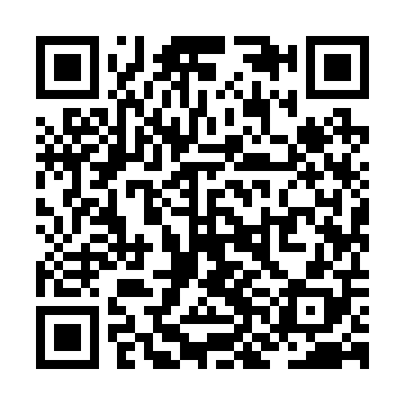 QR code for ZNI208