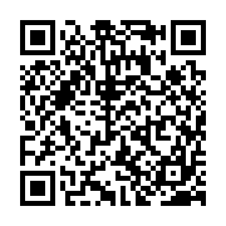 QR code for ZNY317