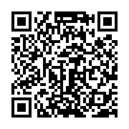 QR code for ZOL539