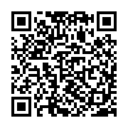 QR code for ZPB291