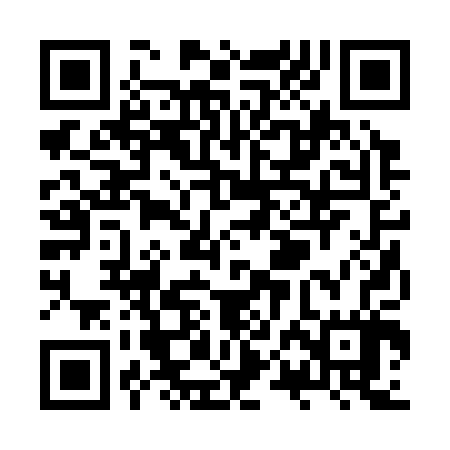 QR code for ZPB307