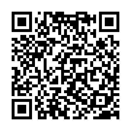 QR code for ZPB308