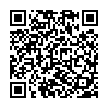QR code for ZPJ509