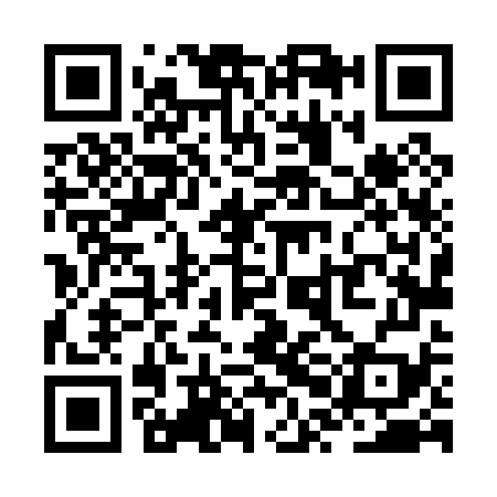 QR code for ZPL079