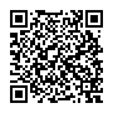 QR code for ZPR399