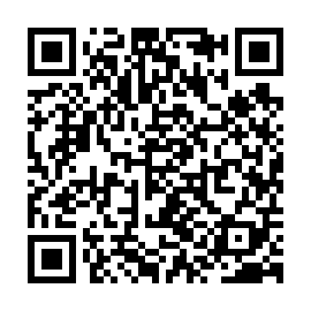 QR code for ZQI609