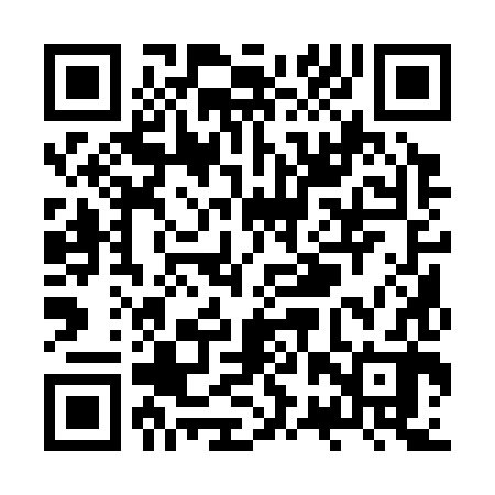 QR code for ZRQ382