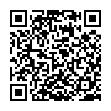QR code for ZTE595