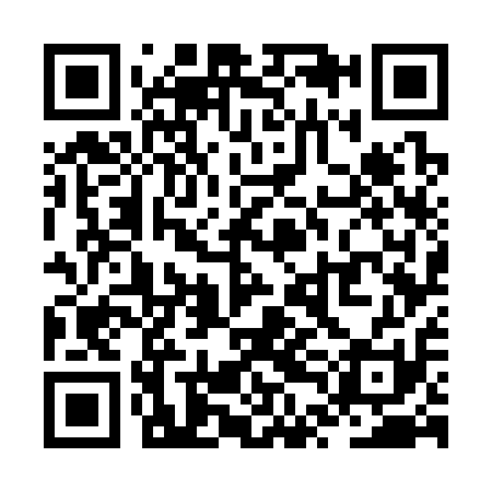 QR code for ZTG311
