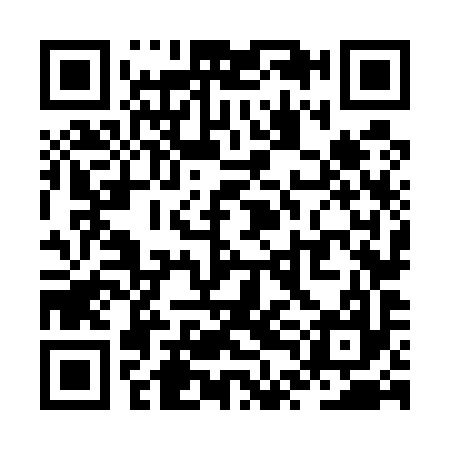 QR code for ZTN597