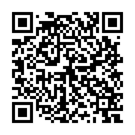 QR code for ZTS163