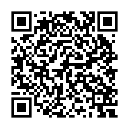QR code for ZTX206