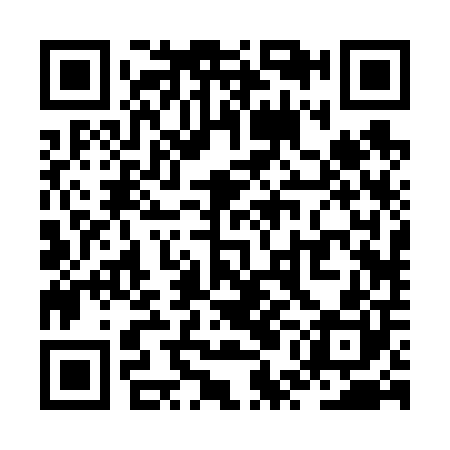QR code for ZUB600