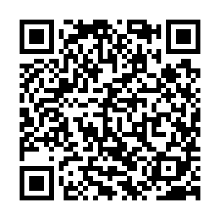 QR code for ZUI789