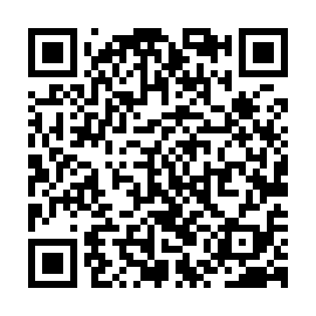 QR code for ZUL919