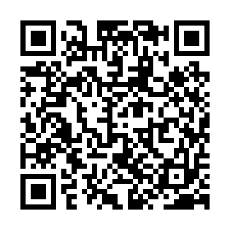 QR code for ZVI213