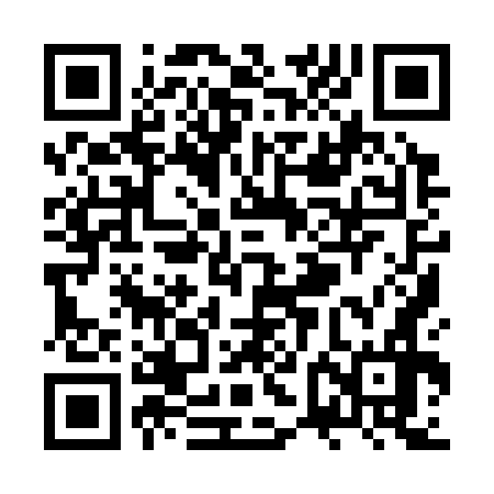 QR code for ZVI376
