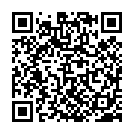 QR code for ZVJ411