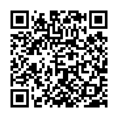 QR code for ZVL699