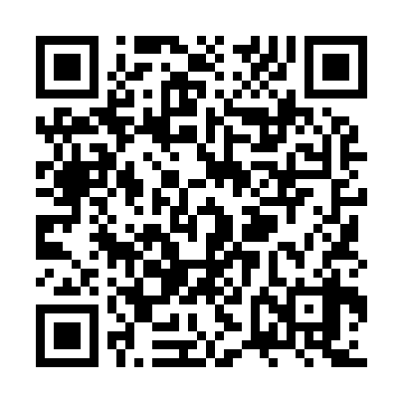 QR code for ZVL938