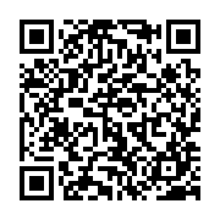 QR code for ZWO384