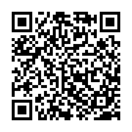 QR code for ZXD307