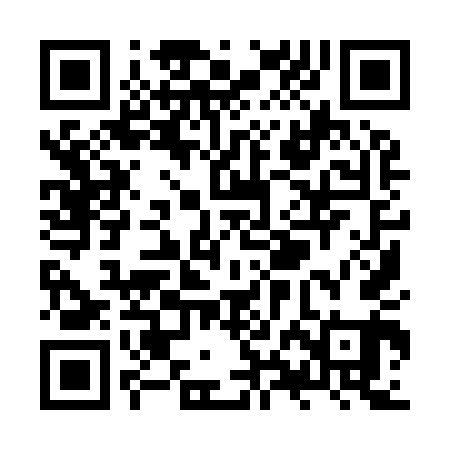 QR code for ZXI941