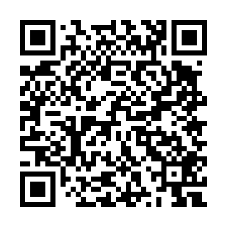 QR code for ZXU409