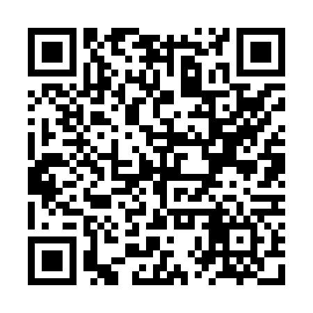 QR code for ZXV866