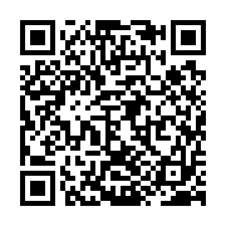 QR code for ZYI713