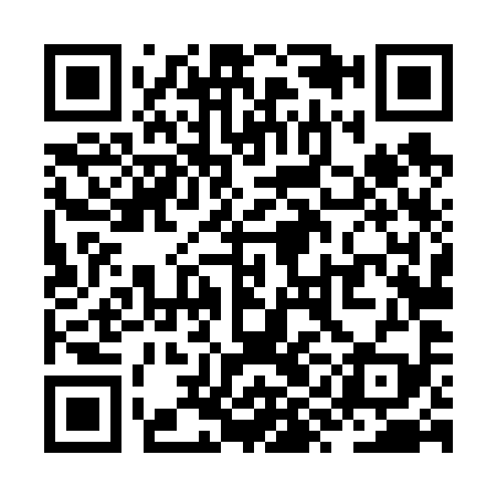 QR code for ZYL699