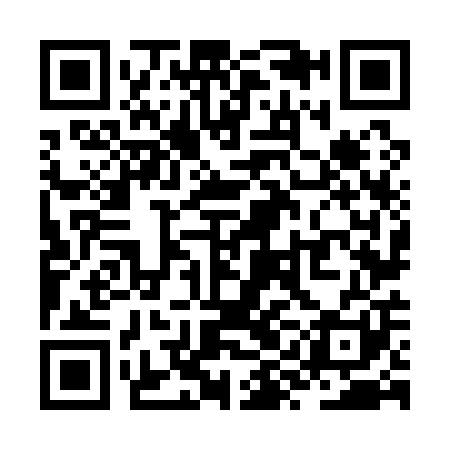 QR code for ZYN101