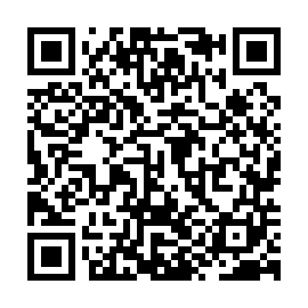 QR code for ZYN141