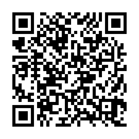 QR code for ZYR160