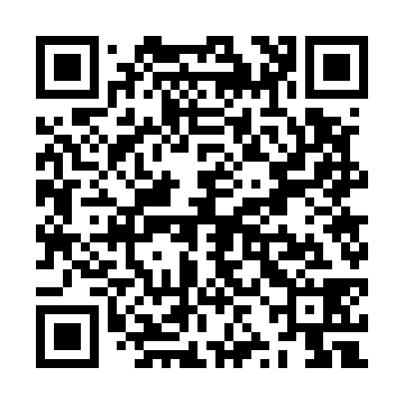 QR code for ZZG538