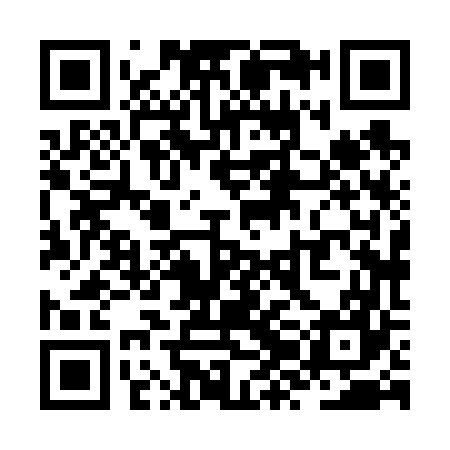 QR code for ZZH667