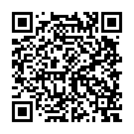 QR code for ZZM483