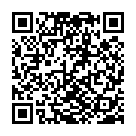 QR code for ZZN579