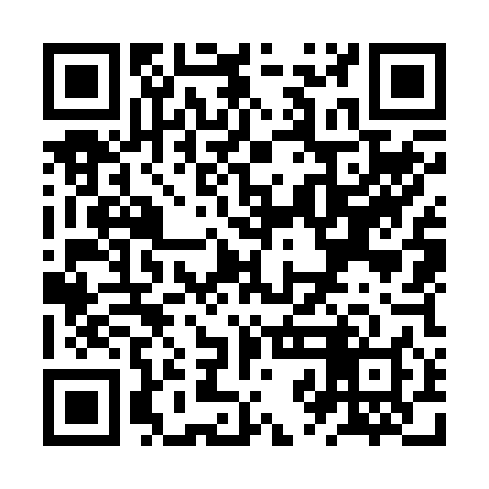 QR code for ZZO248